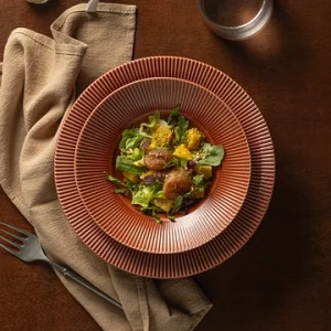 Aurora Collection - 2024 New Popular Color porcelain collection Dinnerware Series