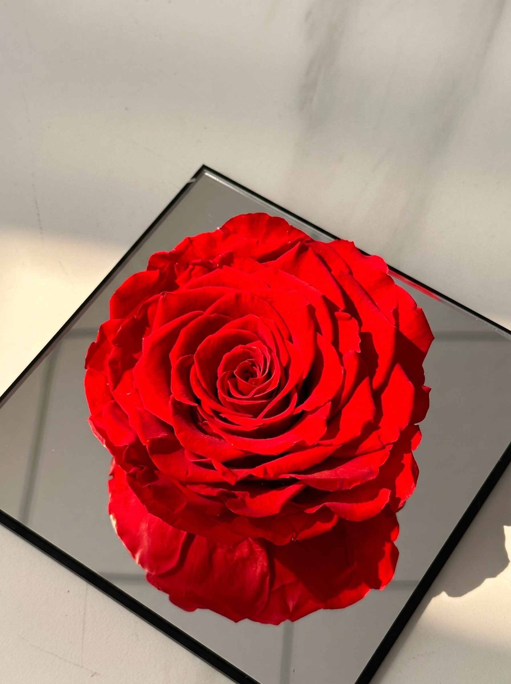Mirror Unique Round Head Rose