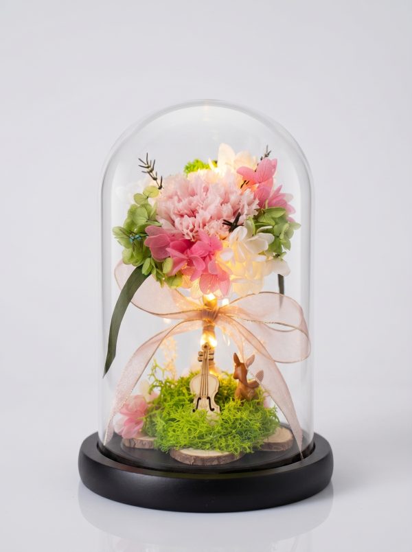 Carnation