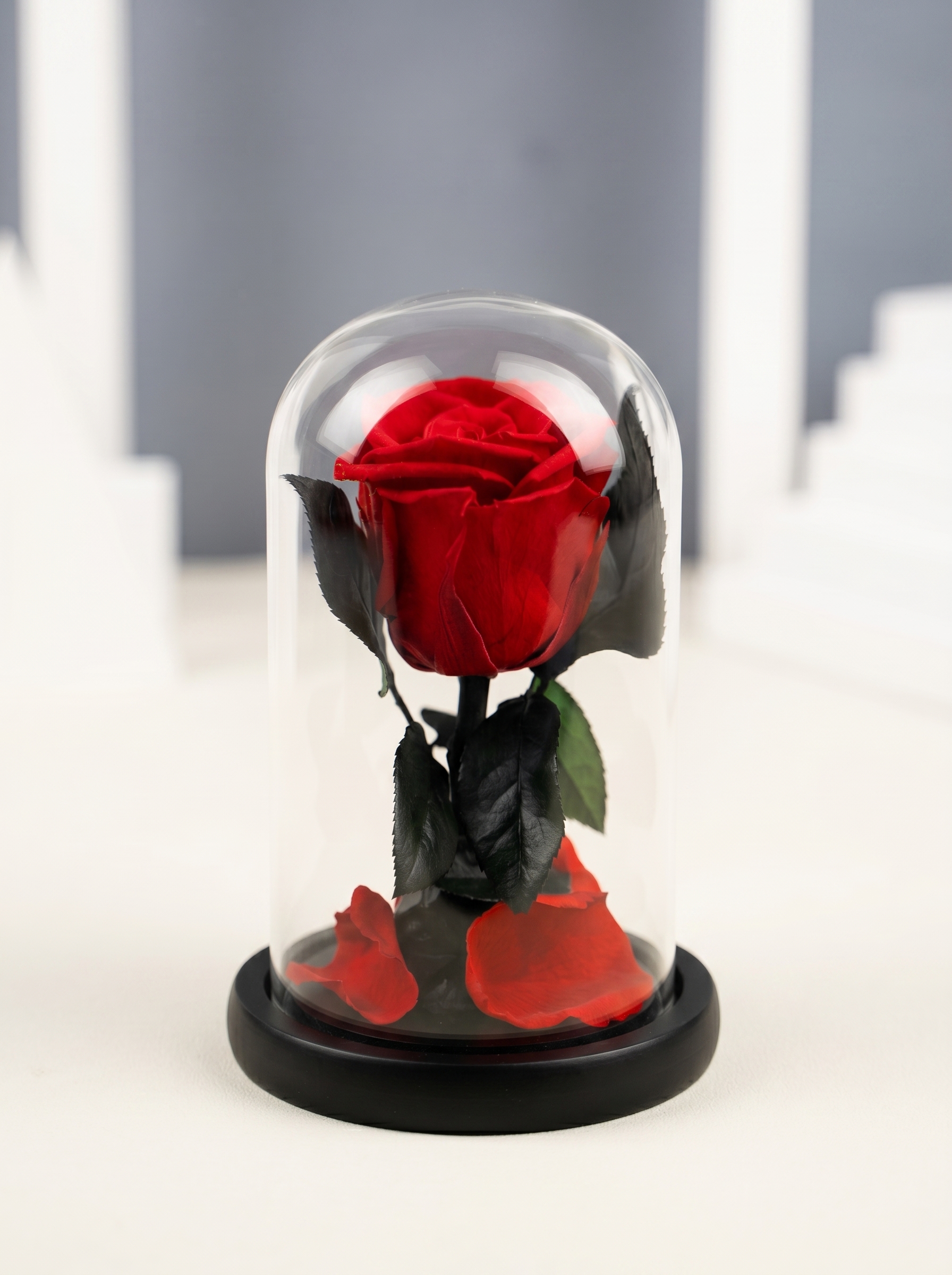 Mini Little Prince