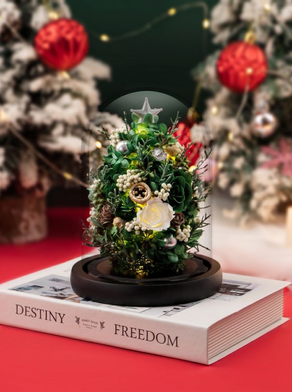 Mini Christmas Tree with Lights