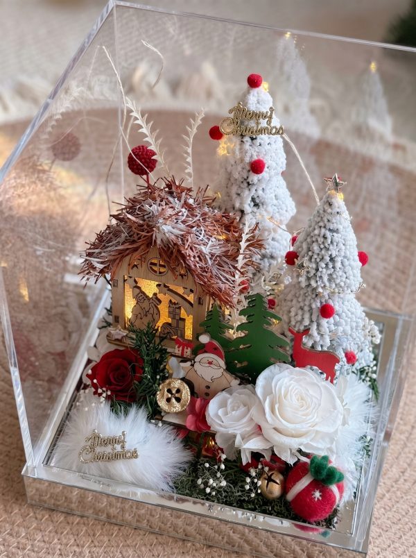 Christmas Snow House